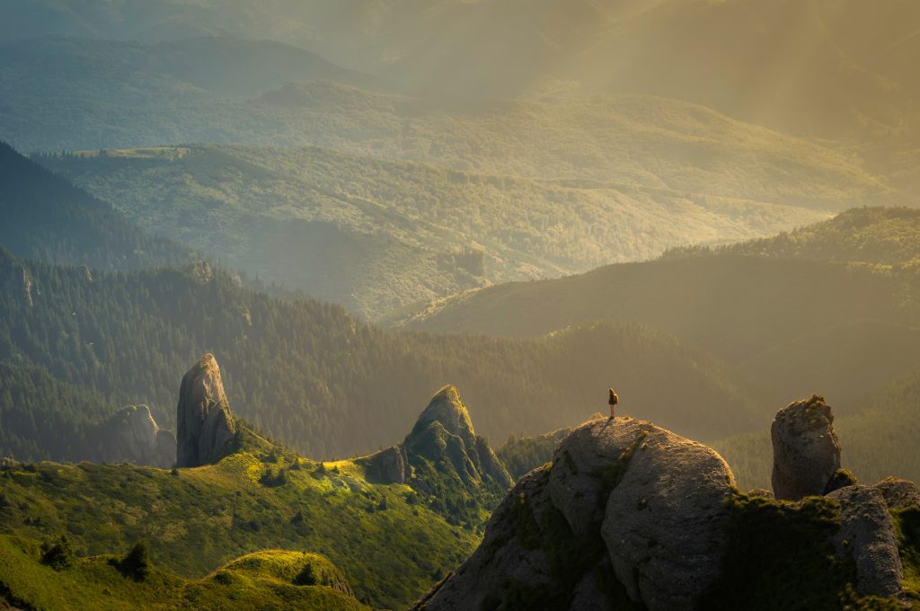 curiosidades surpreendentes da natureza